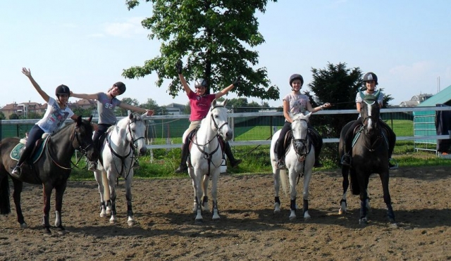 Cumpleaños de caballos 
